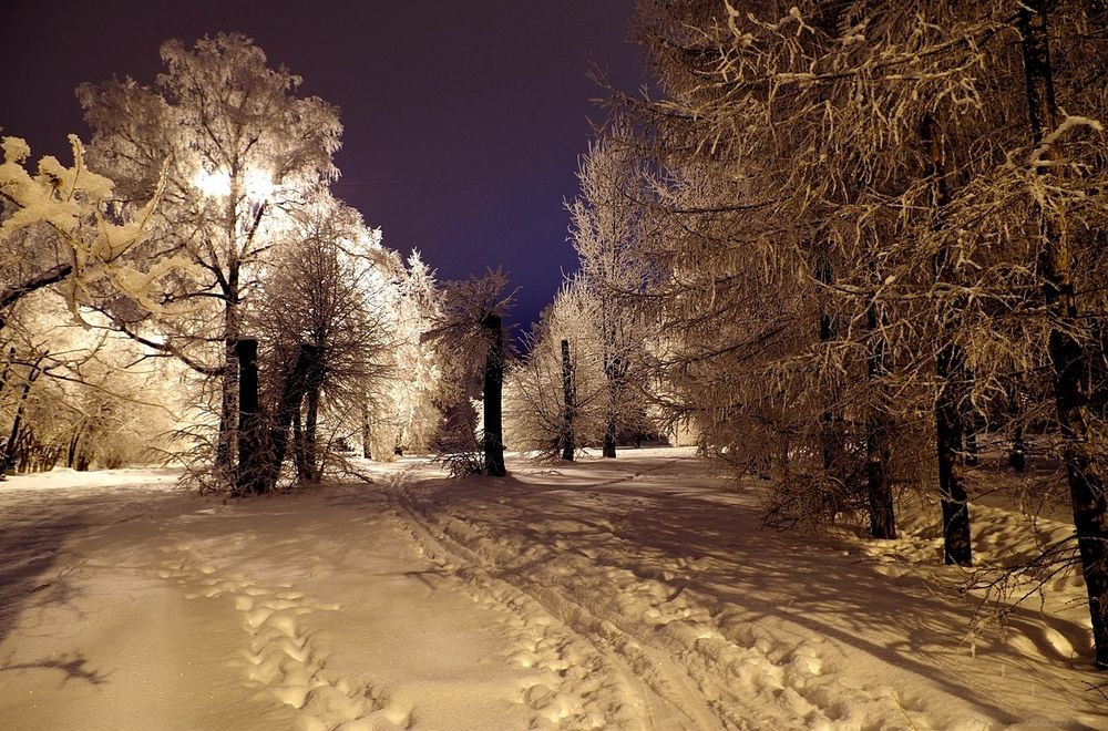 Photograph by Михаил Курзанцев