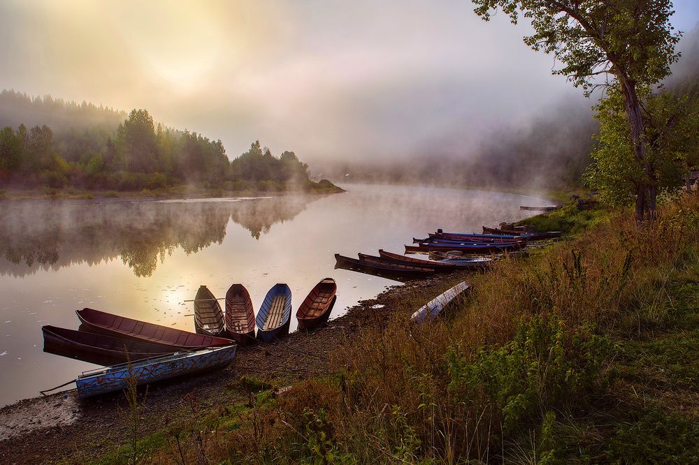 Photograph by Sokolova Tatiana