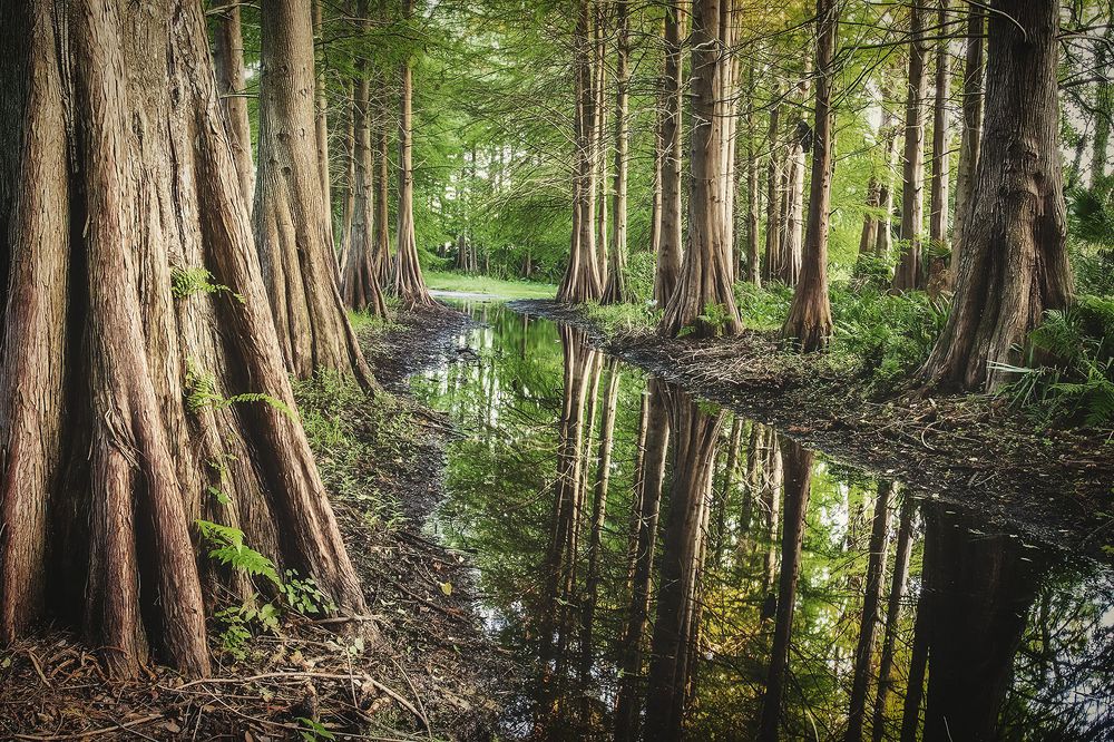 Фотография автора Raymond Asiala