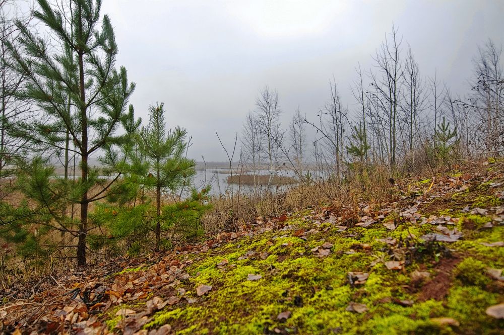 Photograph by Юрий Митенёв