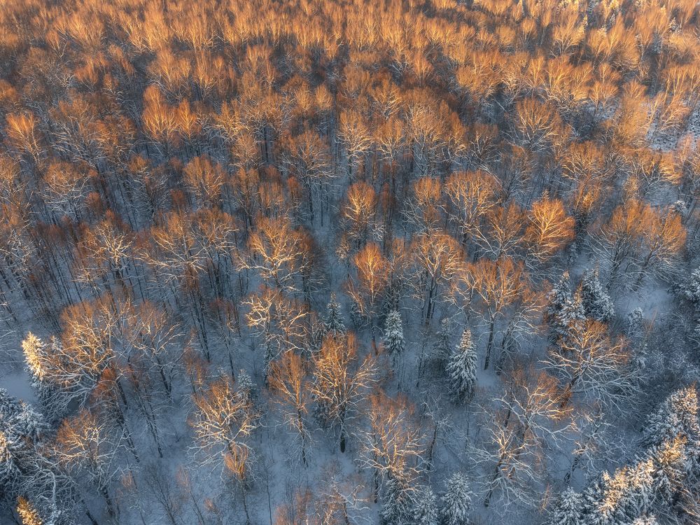 Фотография автора Мартыненко Дмитрий