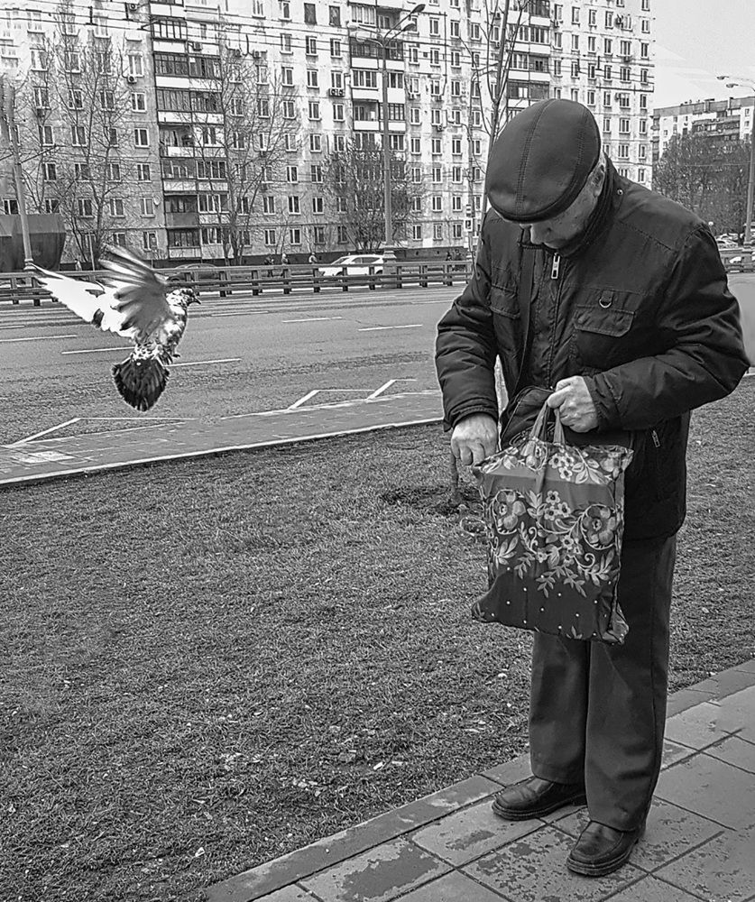 Друзья.