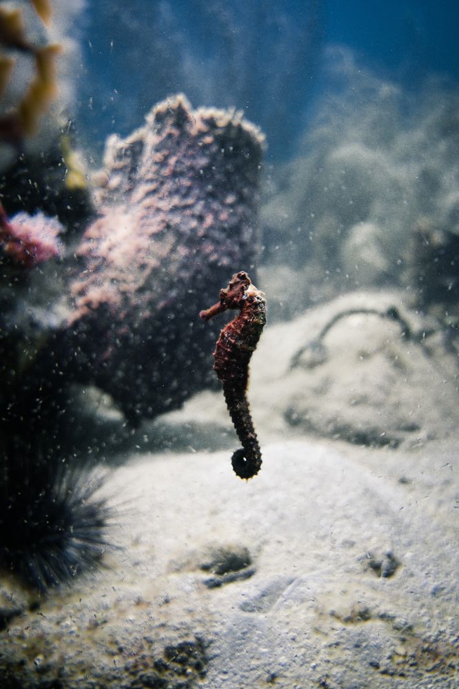 Photograph by Keither Prospere