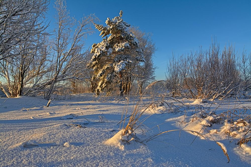 Photograph by Юрий Митенёв