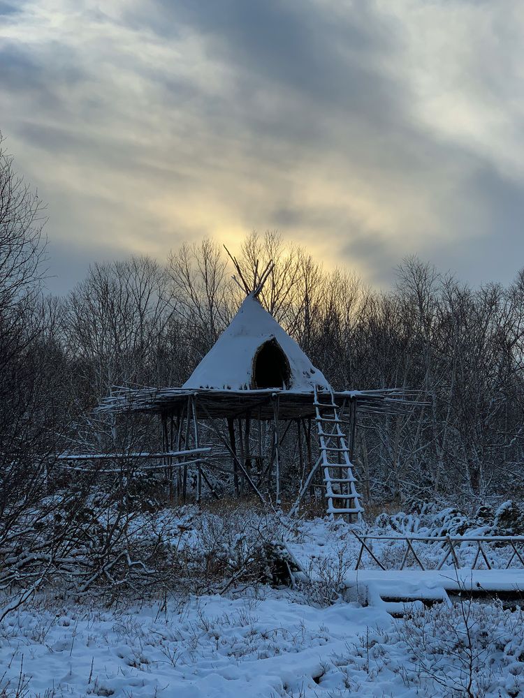 Photograph by Шевалье Татьяна