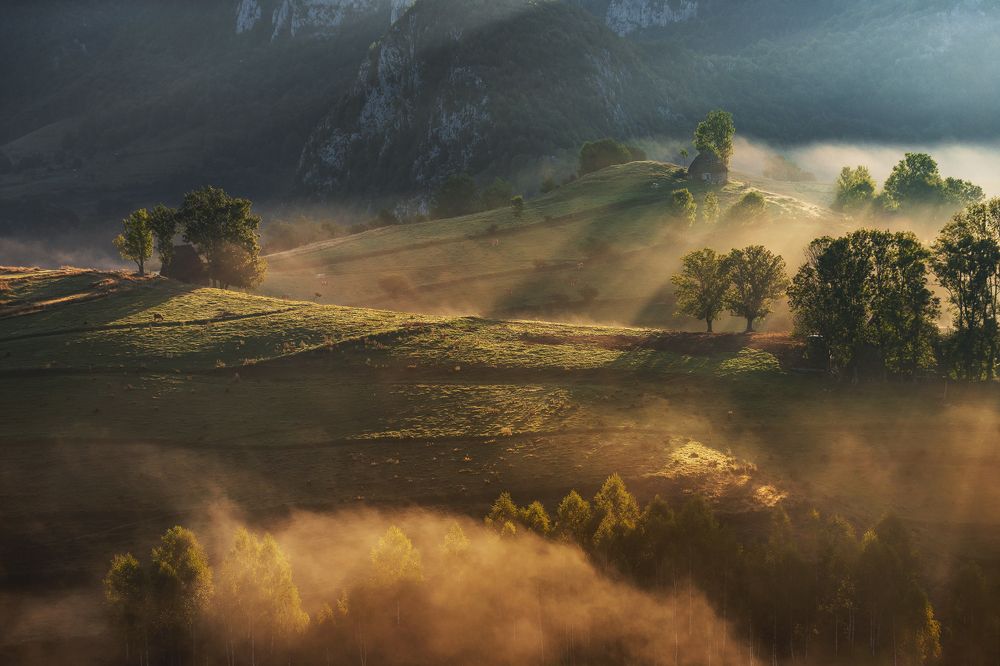 Photograph by Alex Coman