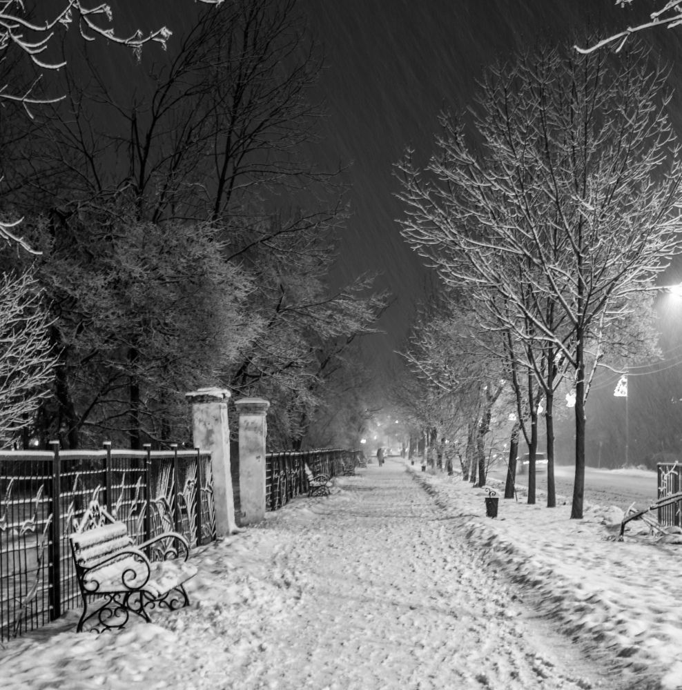 Photograph by Анна Хлоповская