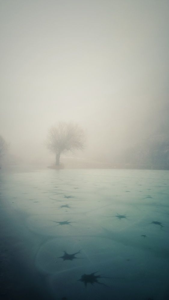 "Только спокойная вода правильно отражает небо" (с)