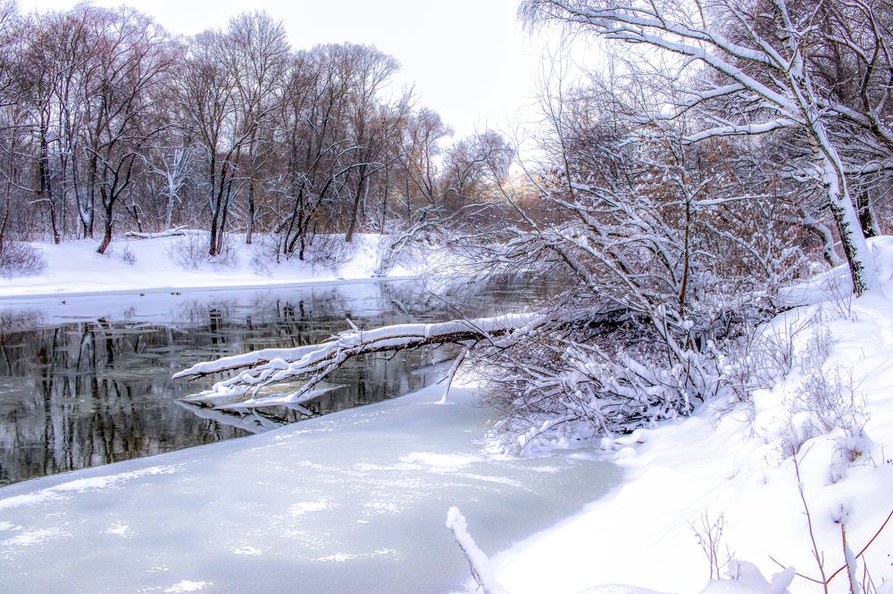 Photograph by Викулов Сергей