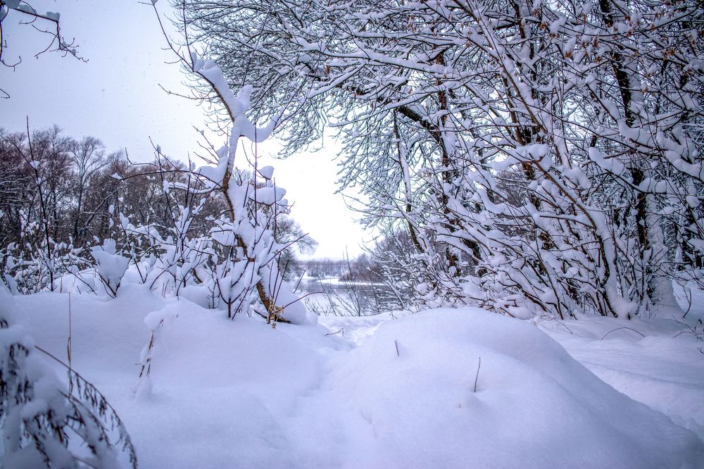 Photograph by Викулов Сергей