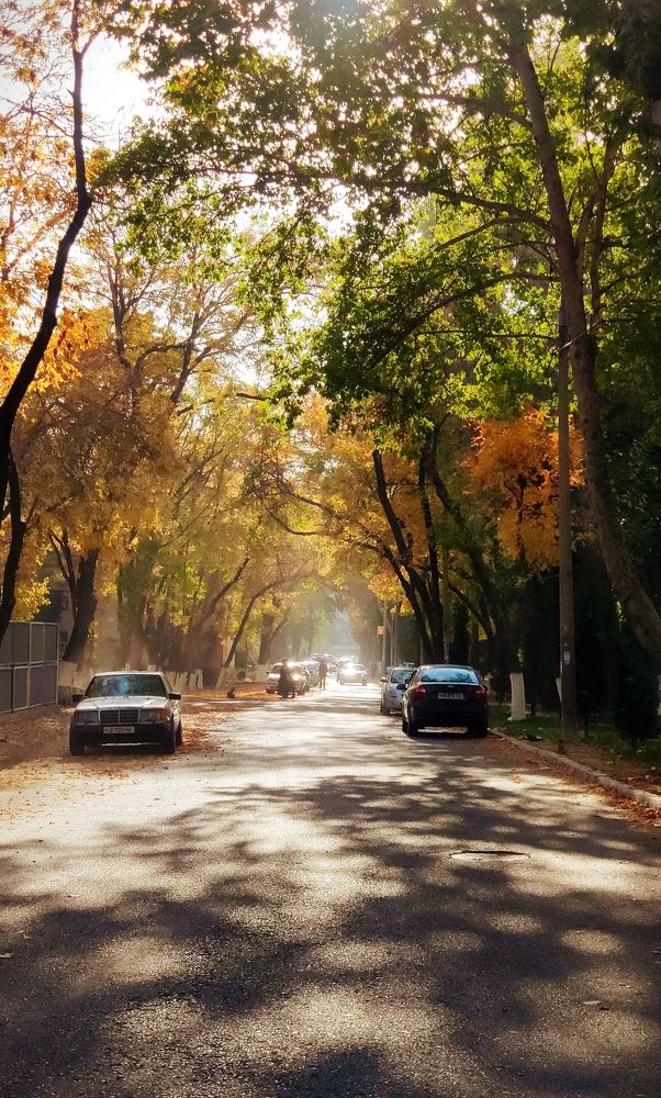 Photograph by Сардор Умаров