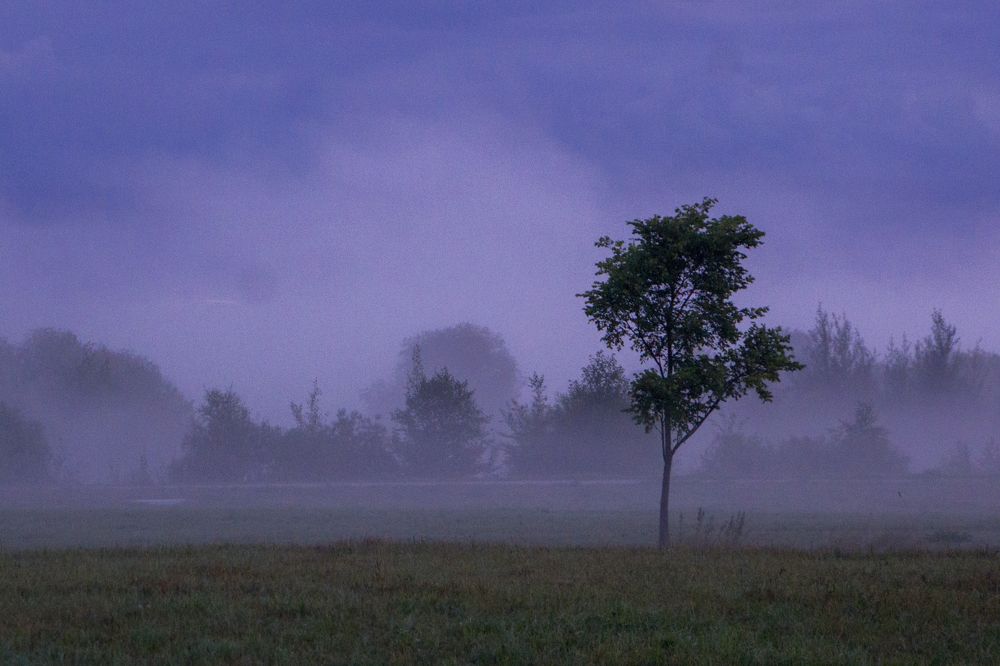 Photograph by Марина Евченко