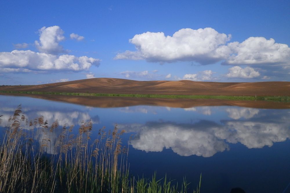 Photograph by Диана Бородзе