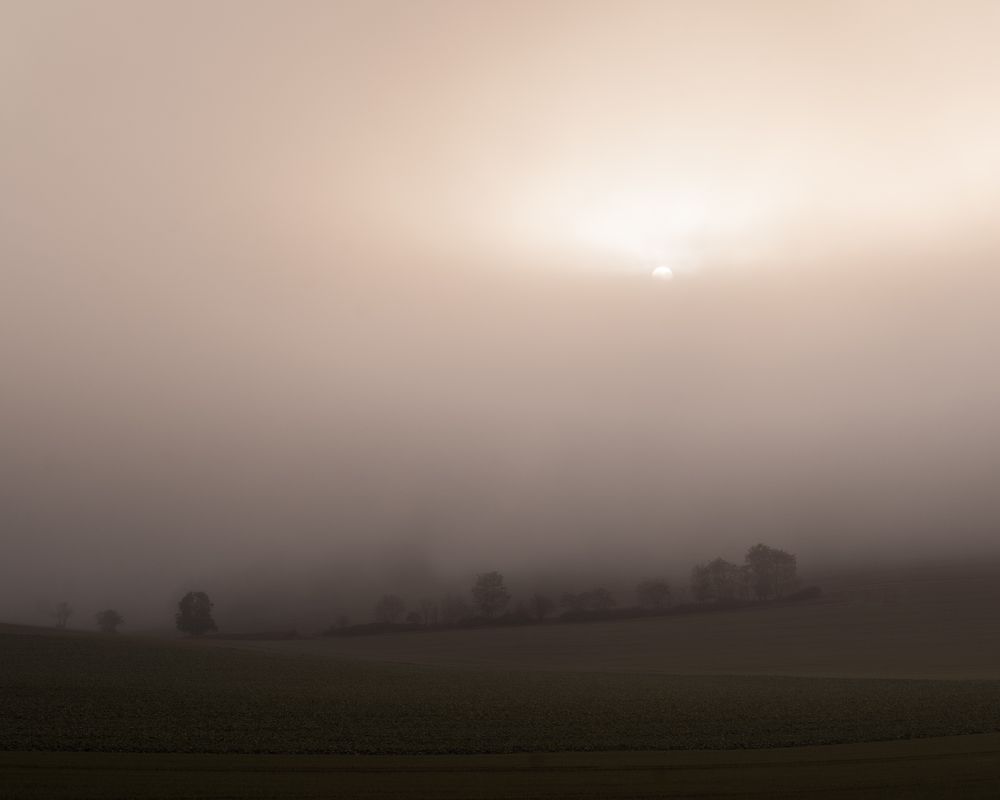 Photograph by Nadeshda Weber