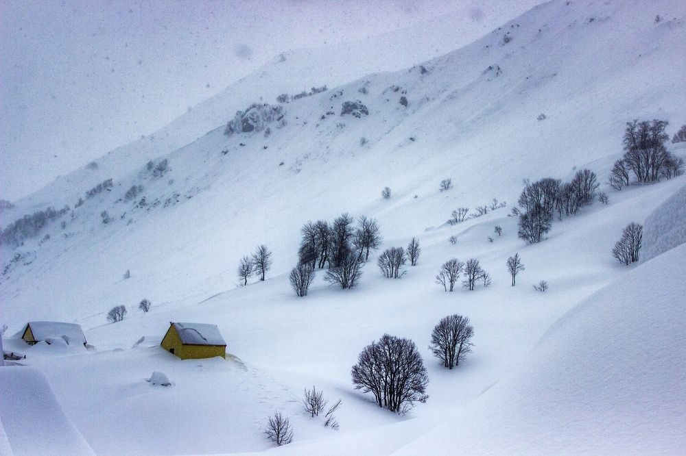 Photograph by Elijah Ishchenko