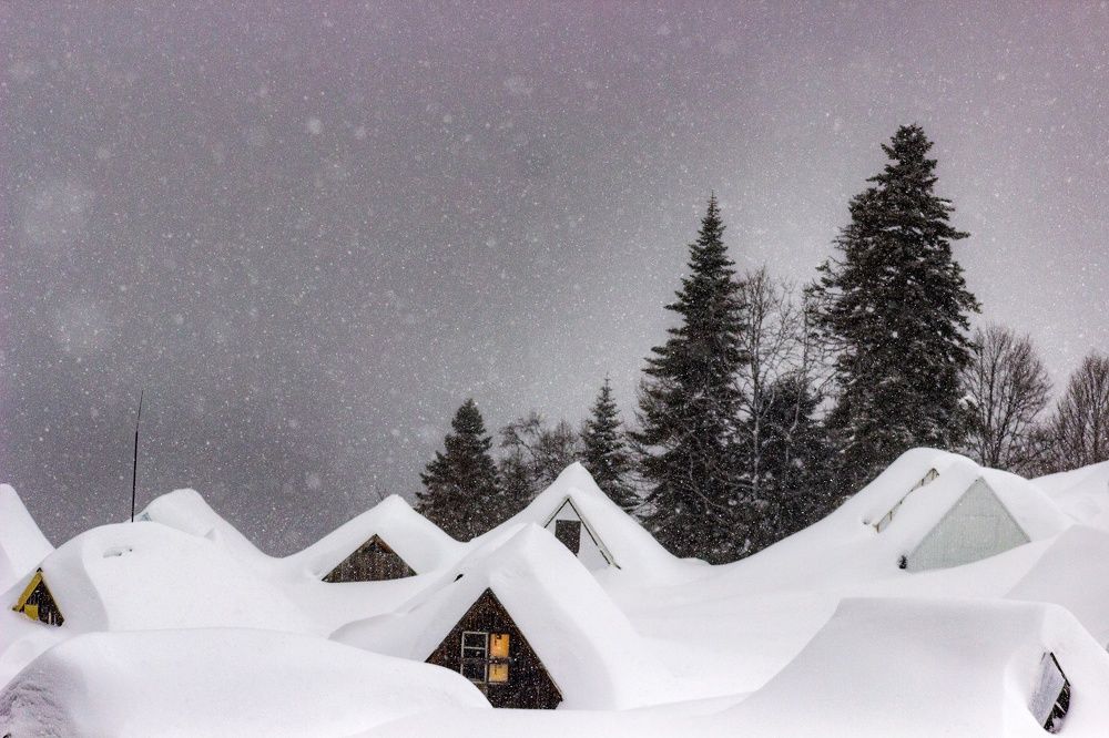 Photograph by Elijah Ishchenko