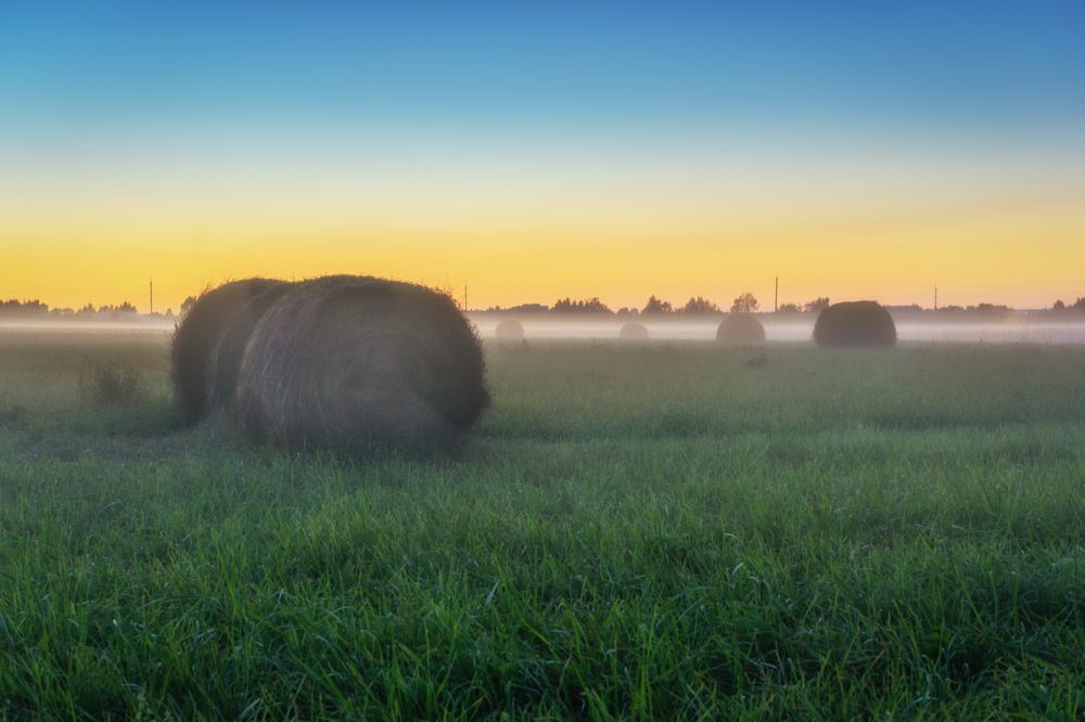 Фотография автора Илья Большаков