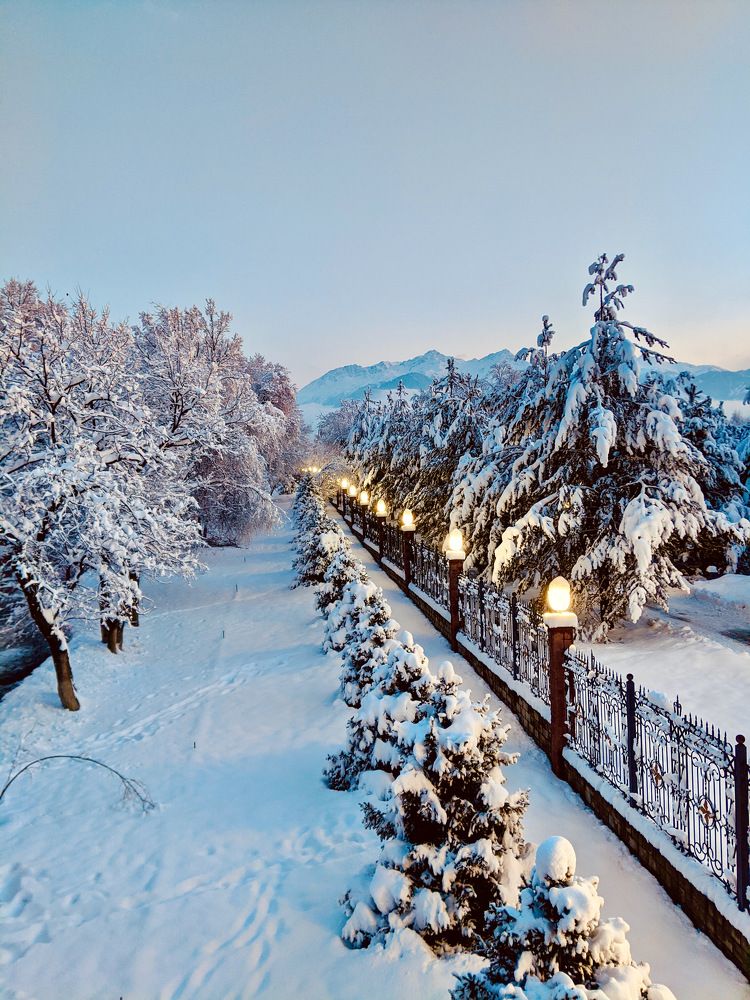 Photograph by Александра Милованова