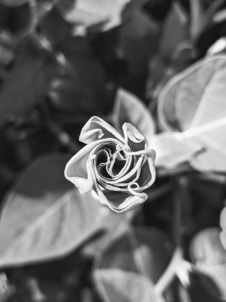 Photo #6896746