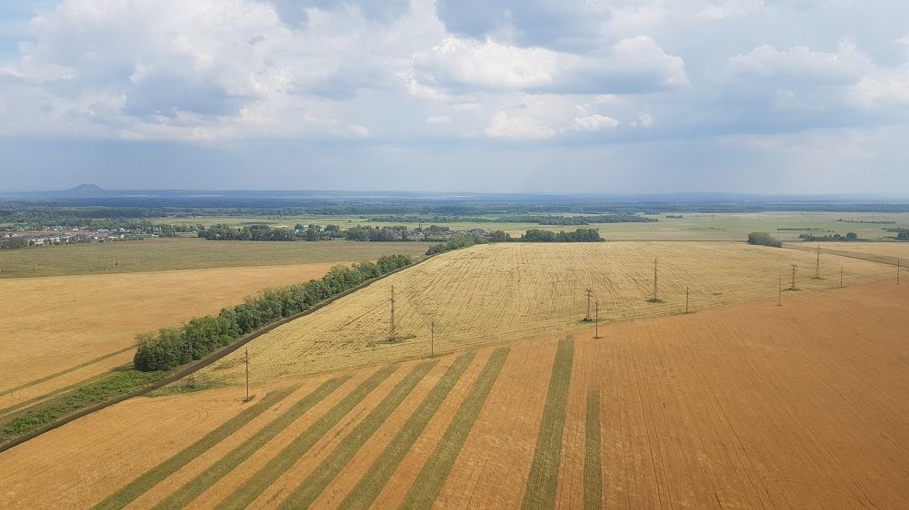 Photograph by Наталья Анисимова