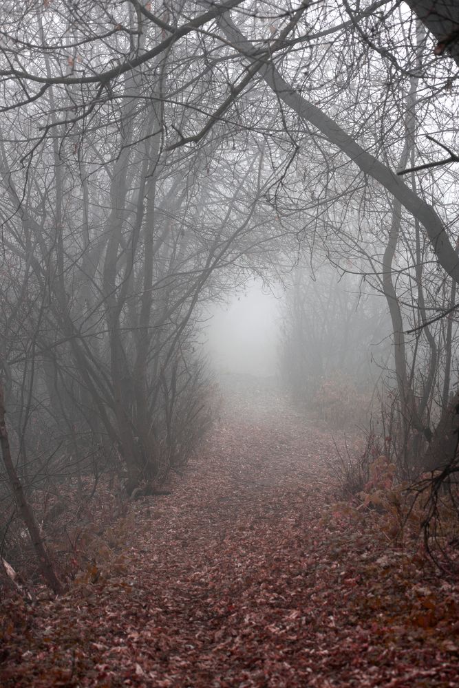 Photograph by Максим Трифонов