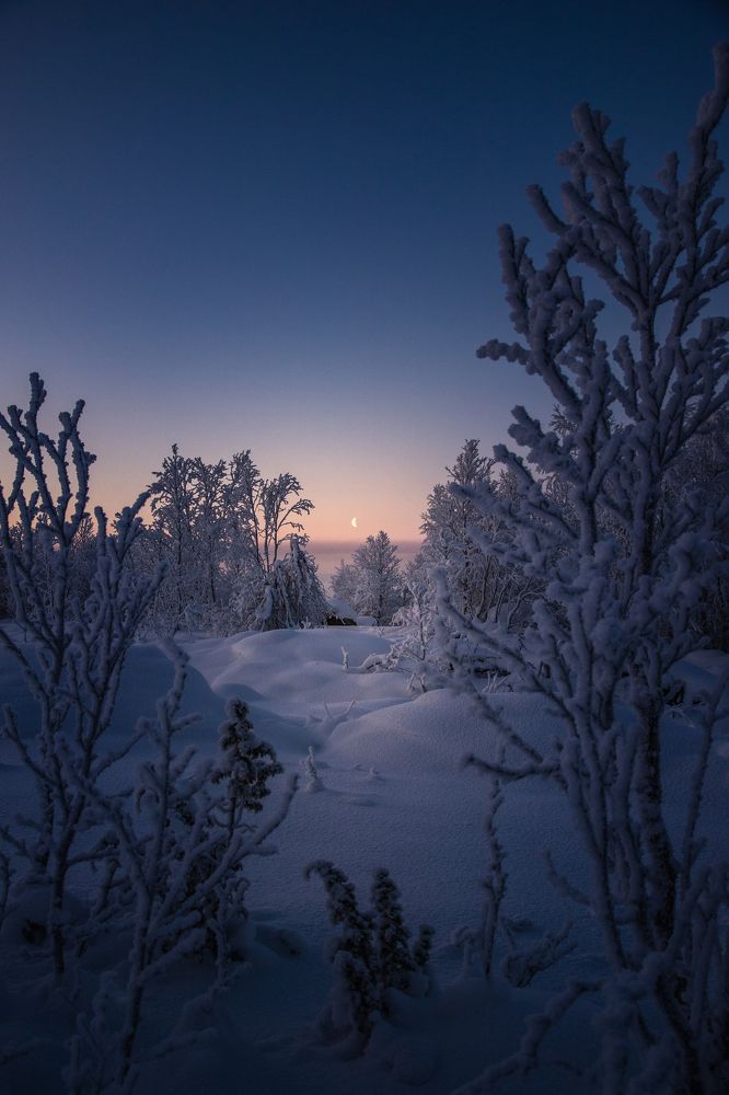 Photograph by Артемий Соловьёв