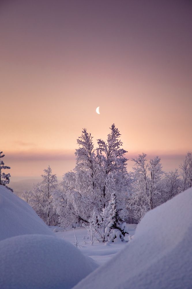 Photograph by Артемий Соловьёв