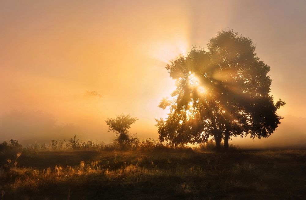 Photograph by Инна Буглак