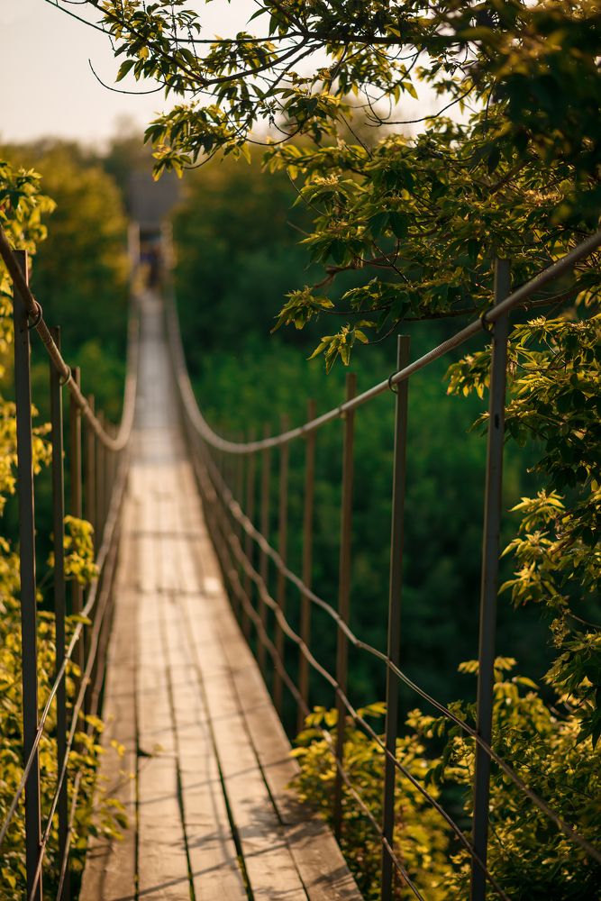 Photograph by Ирина Назарова