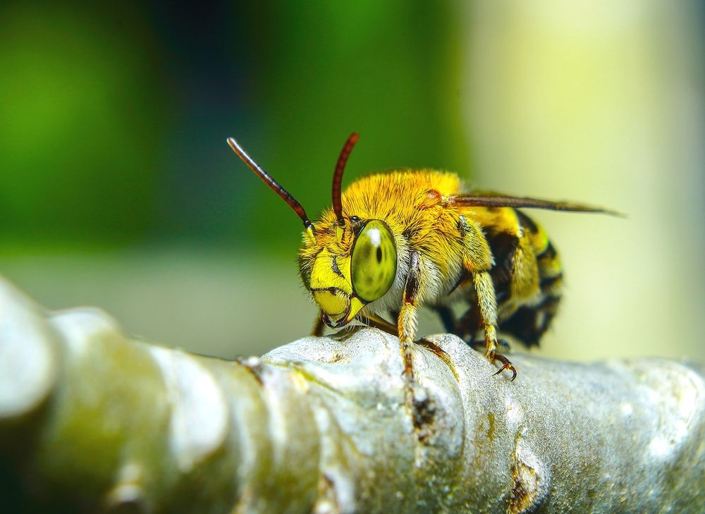 Photograph by Yusuf Buchari