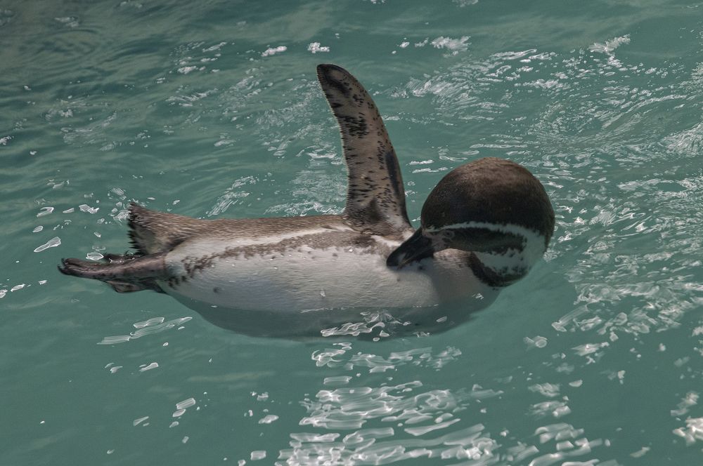 Photograph by Светлана Мельник