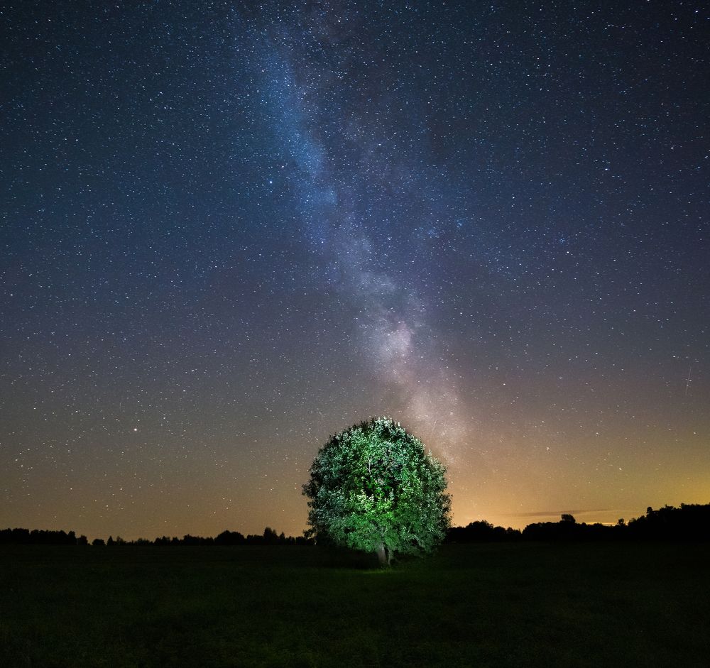 Photograph by Ingemars Vekteris