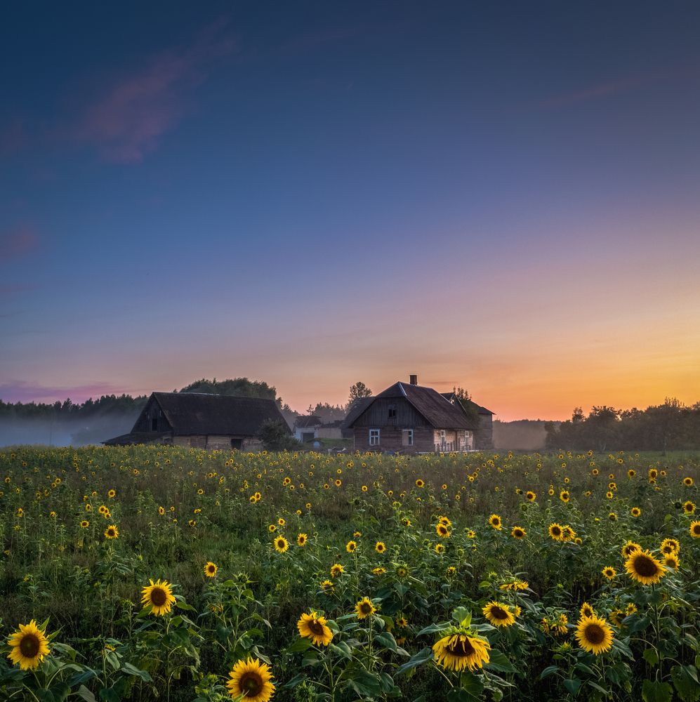 Photograph by Ingemars Vekteris