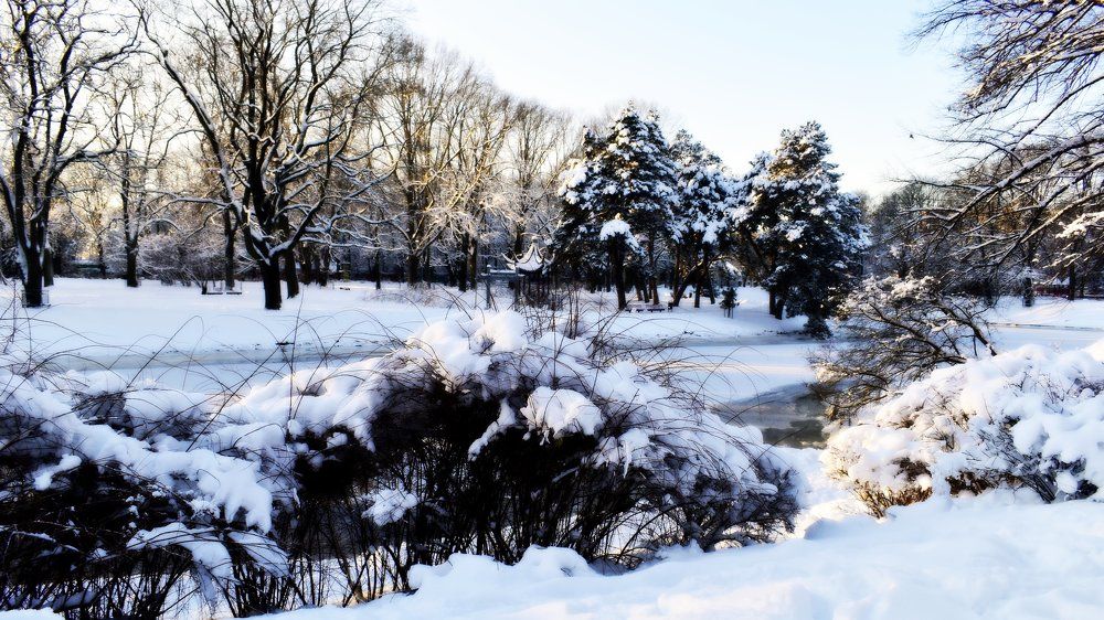 Photograph by Инна Сенкевич