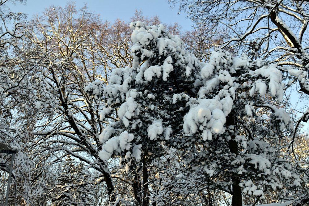 Photograph by Инна Сенкевич