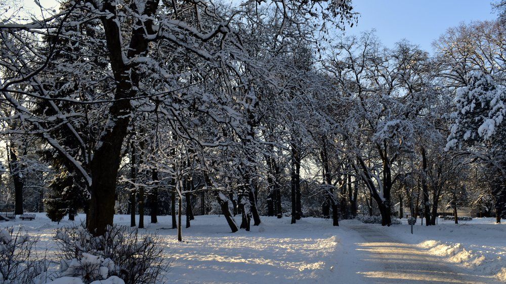 Photograph by Инна Сенкевич