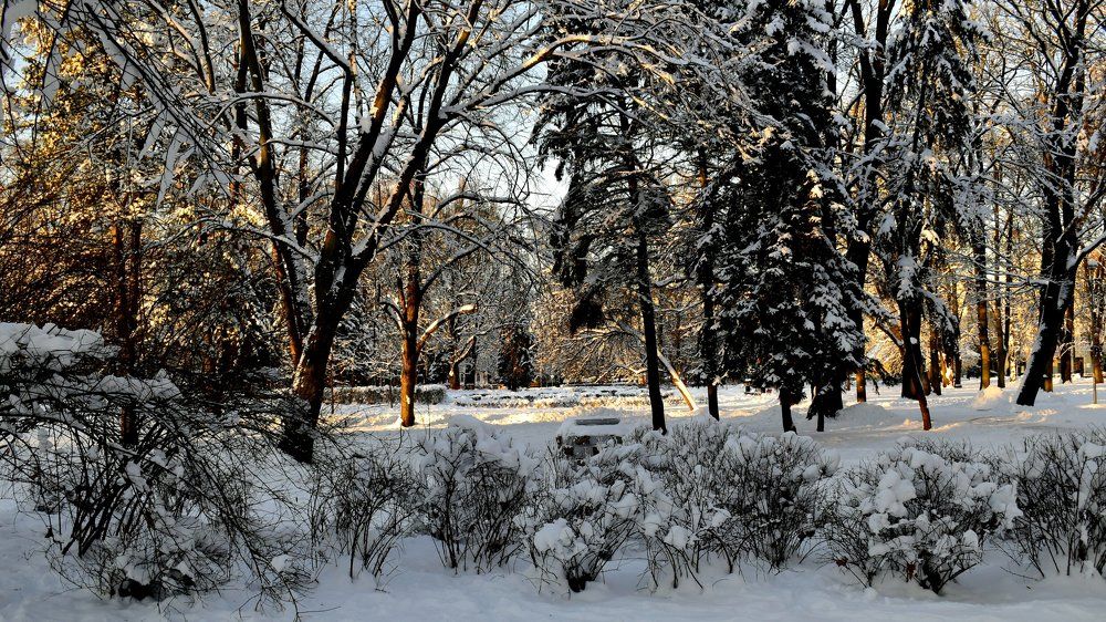 Photograph by Инна Сенкевич