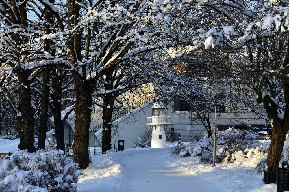 Photograph by Инна Сенкевич