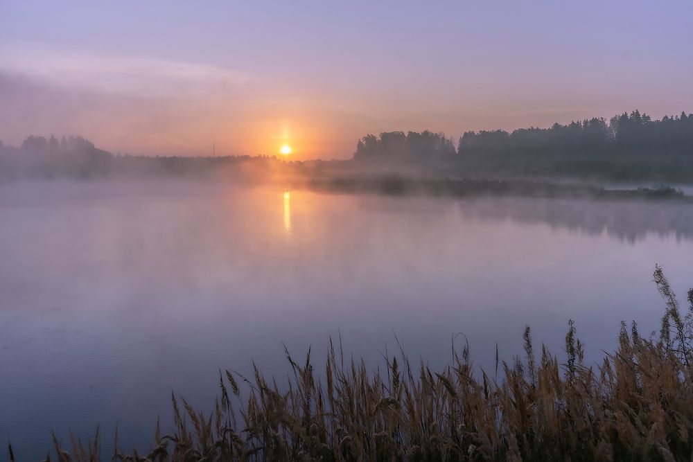 Туманный рассвет над затопленным карьером