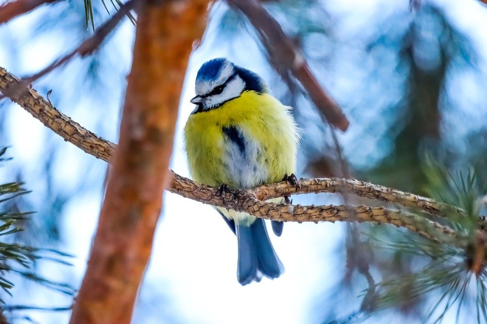 Photograph by Ирина Лисовец