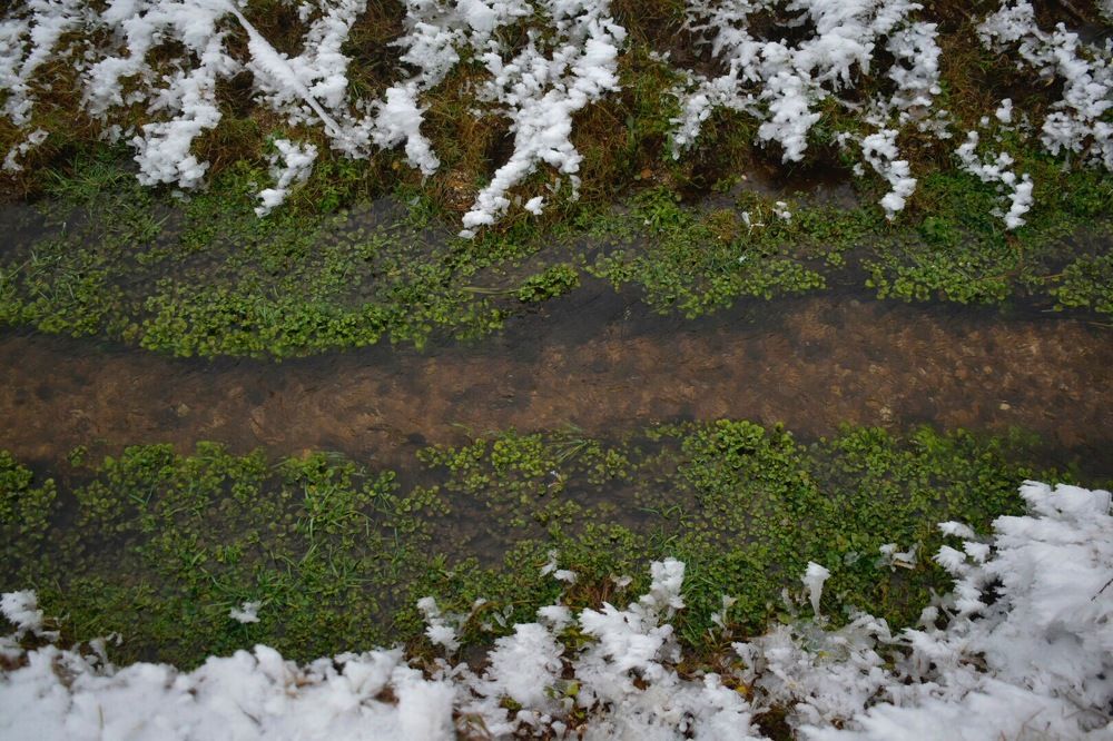 Photograph by Алина