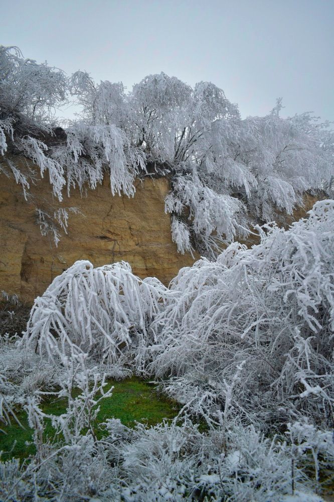 Photograph by Алина