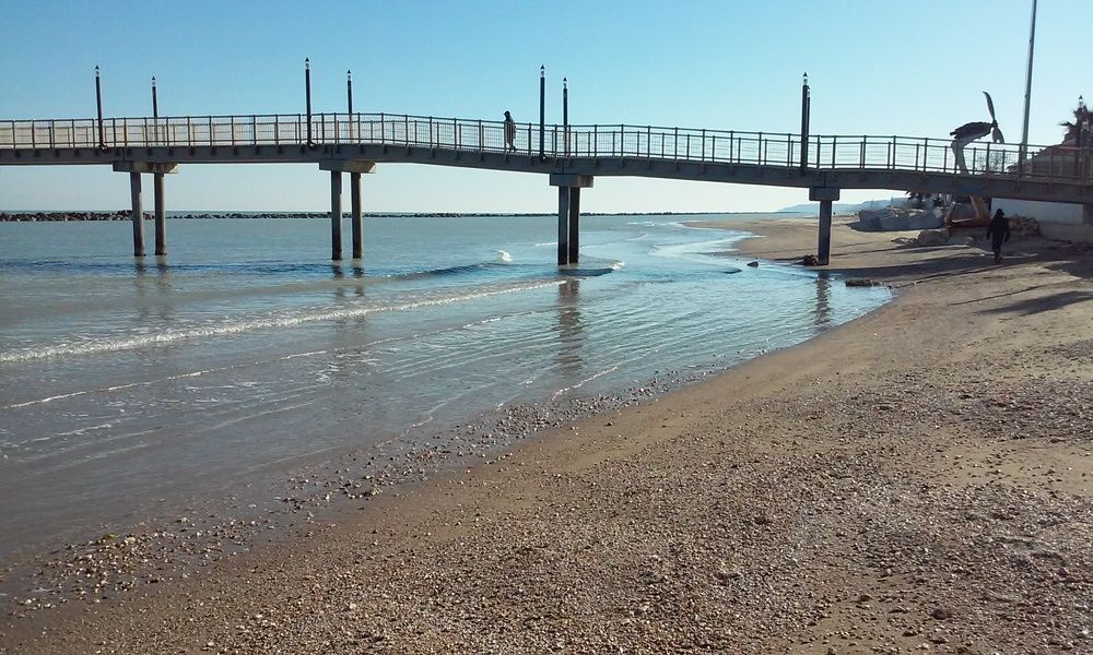 Photograph by ирина токарева