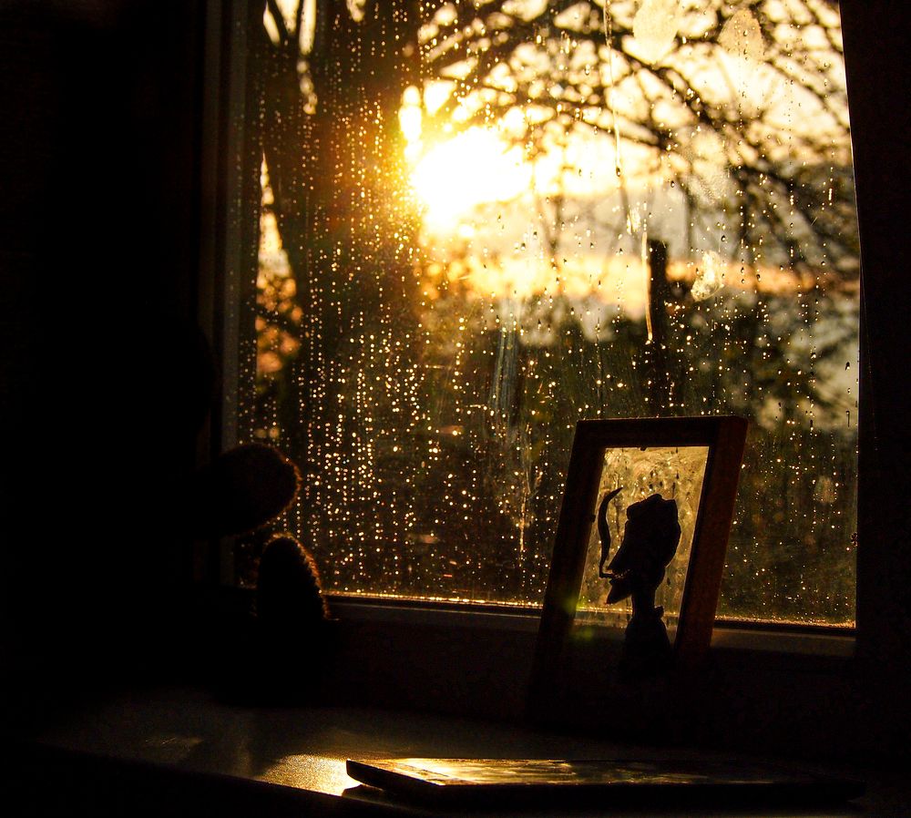 Photograph by Михаил Редин