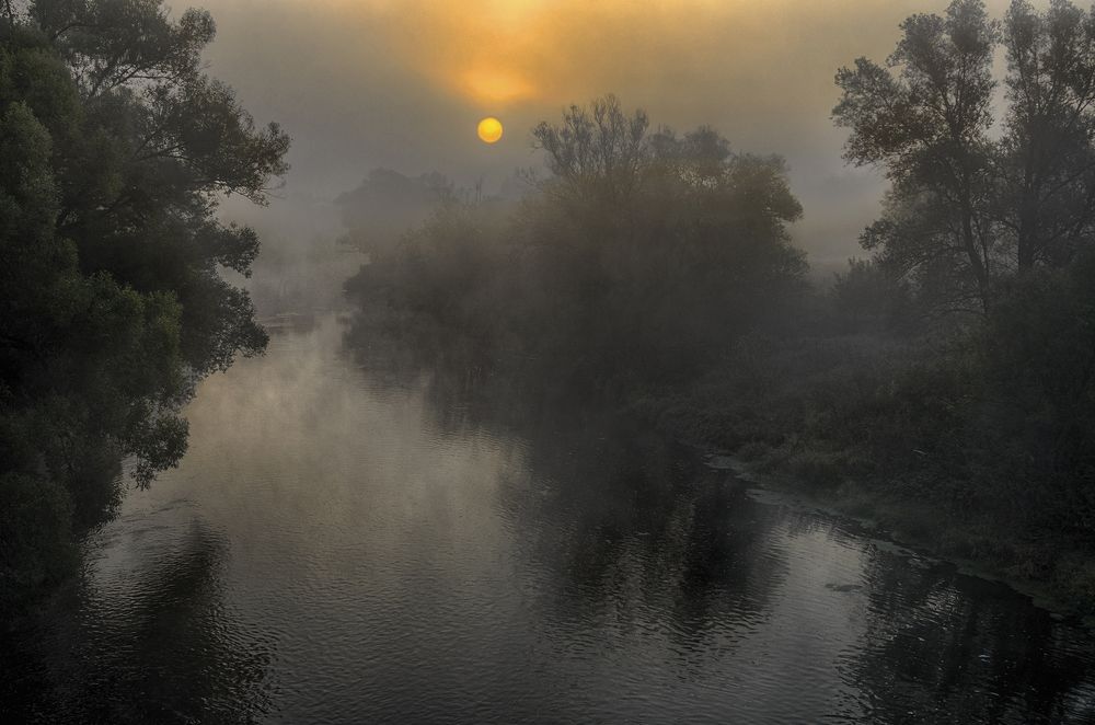 Photograph by Viktor Korotnev