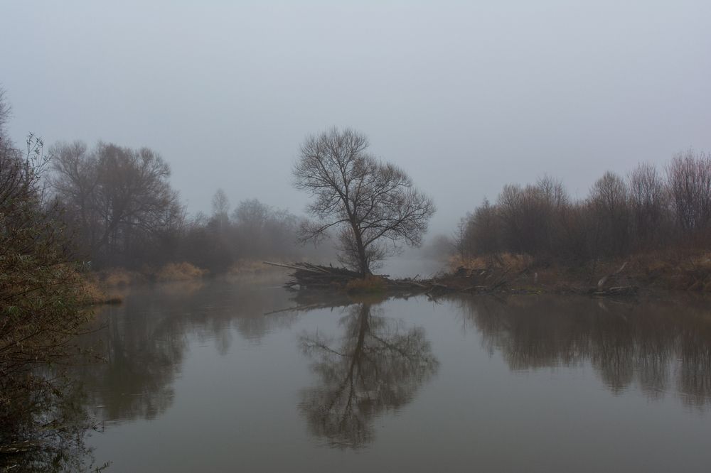 Туман над рекой