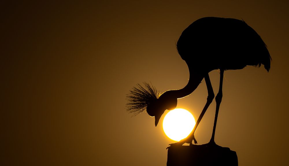 Photograph by Hari Govindarajulu