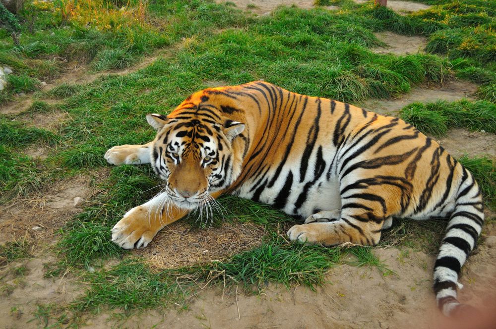 Photograph by Евгений