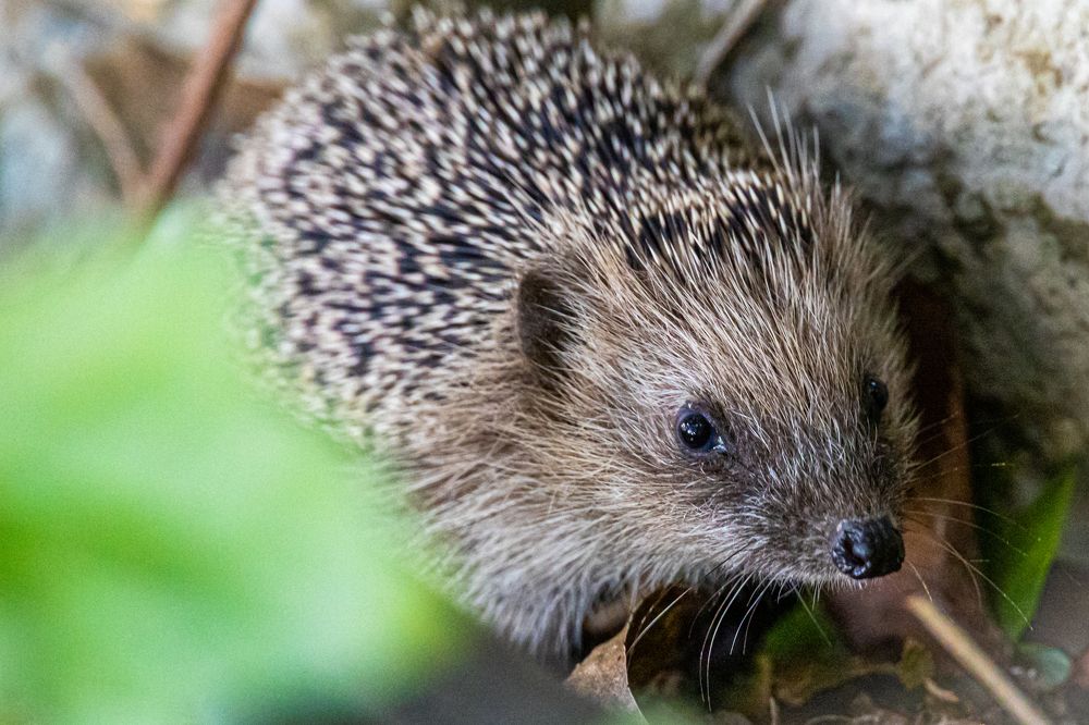 Photograph by Игорь Калинин