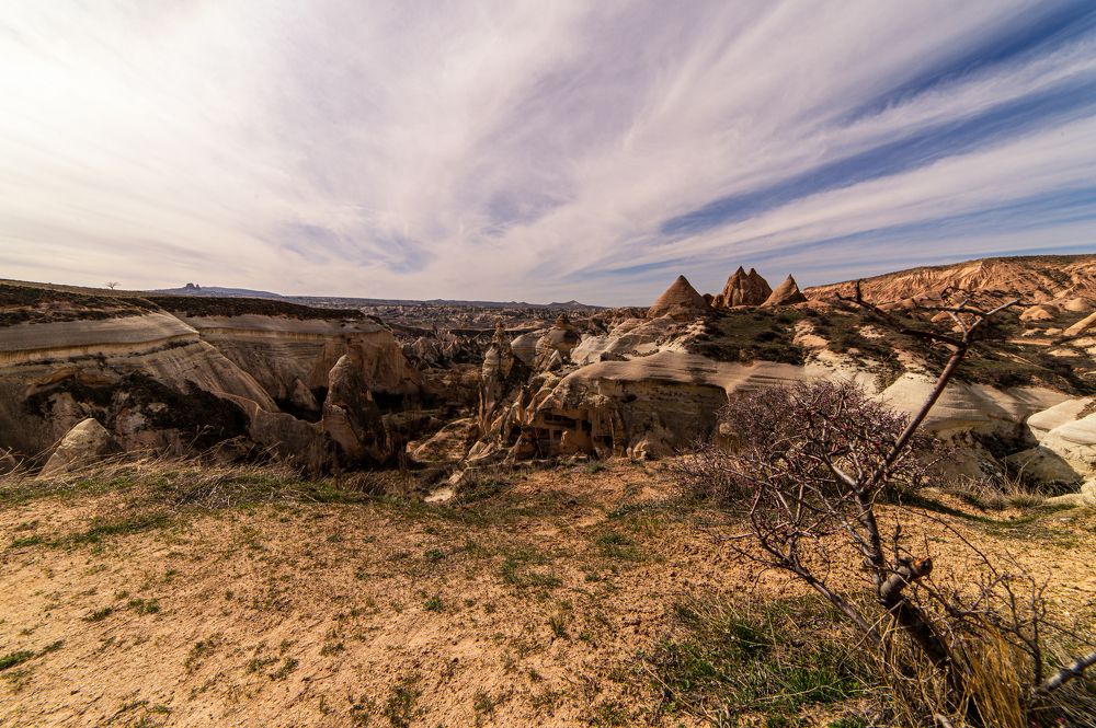 Photograph by Олег Сальников